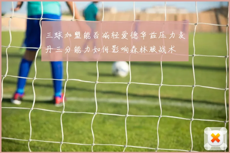 三球加盟能否减轻爱德华兹压力麦丹三分能力如何影响森林狼战术