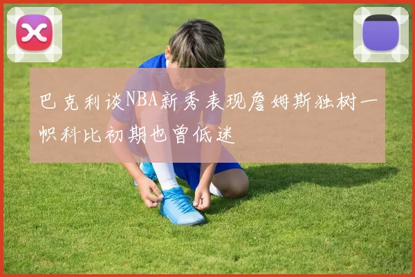 巴克利谈NBA新秀表现詹姆斯独树一帜科比初期也曾低迷